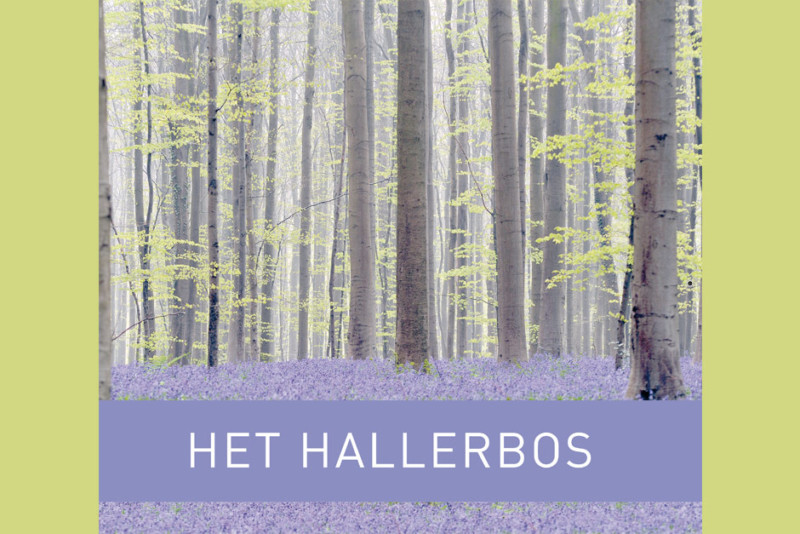 Flowering season 2018 Archives - Hallerbos